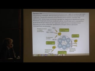 Карягина а с использование компьютерных подходов для разработки новых лекарств