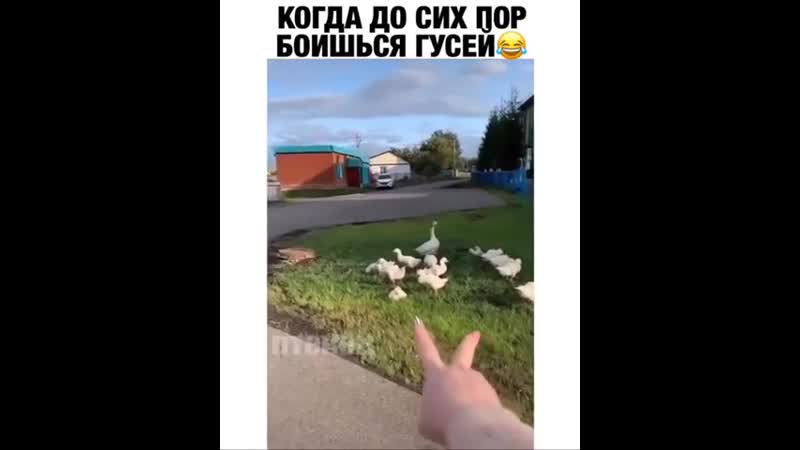 Почему я не знал об этом способе?! 😂🤣