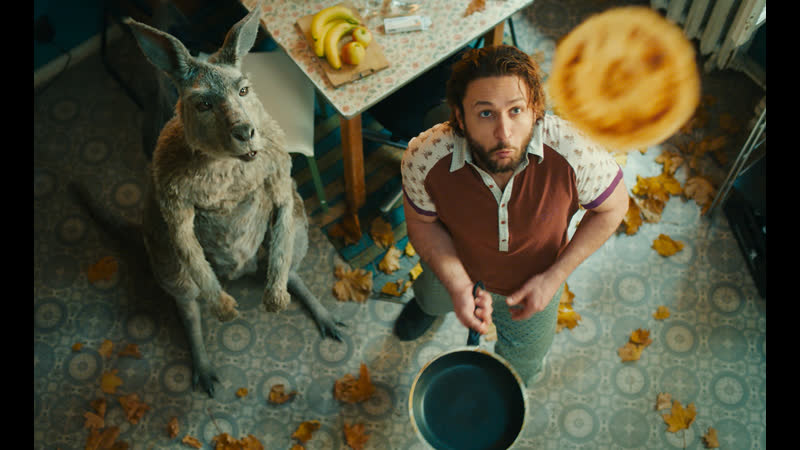 Осторожно, кенгуру