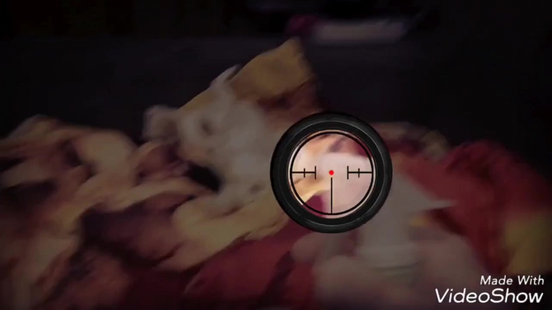 Охлади трахание