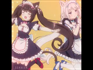 「 nekopara 」 chocola and vanila edit