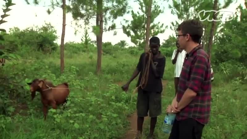 Vice алкогольная эпидемия в уганде