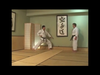 Kata heian nidan bunkai (skif)