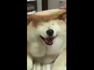 Namjoon by porn ⁺¹⁸