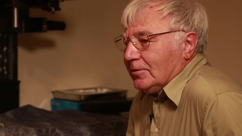 Павел кривцов земляки