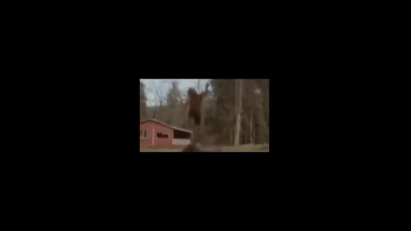 Справедливо