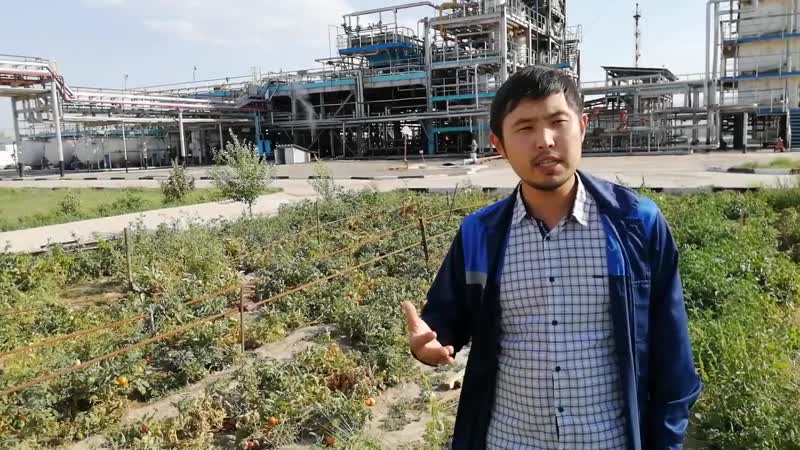 Qazaq speakers даулет егембердиев