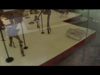 Москва палеонтологический музей ран скелеты динозавров