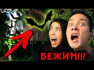 Побег из дома на дереве с алоя вера мистический квест | саша аморал