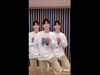 [080321] tiktok update