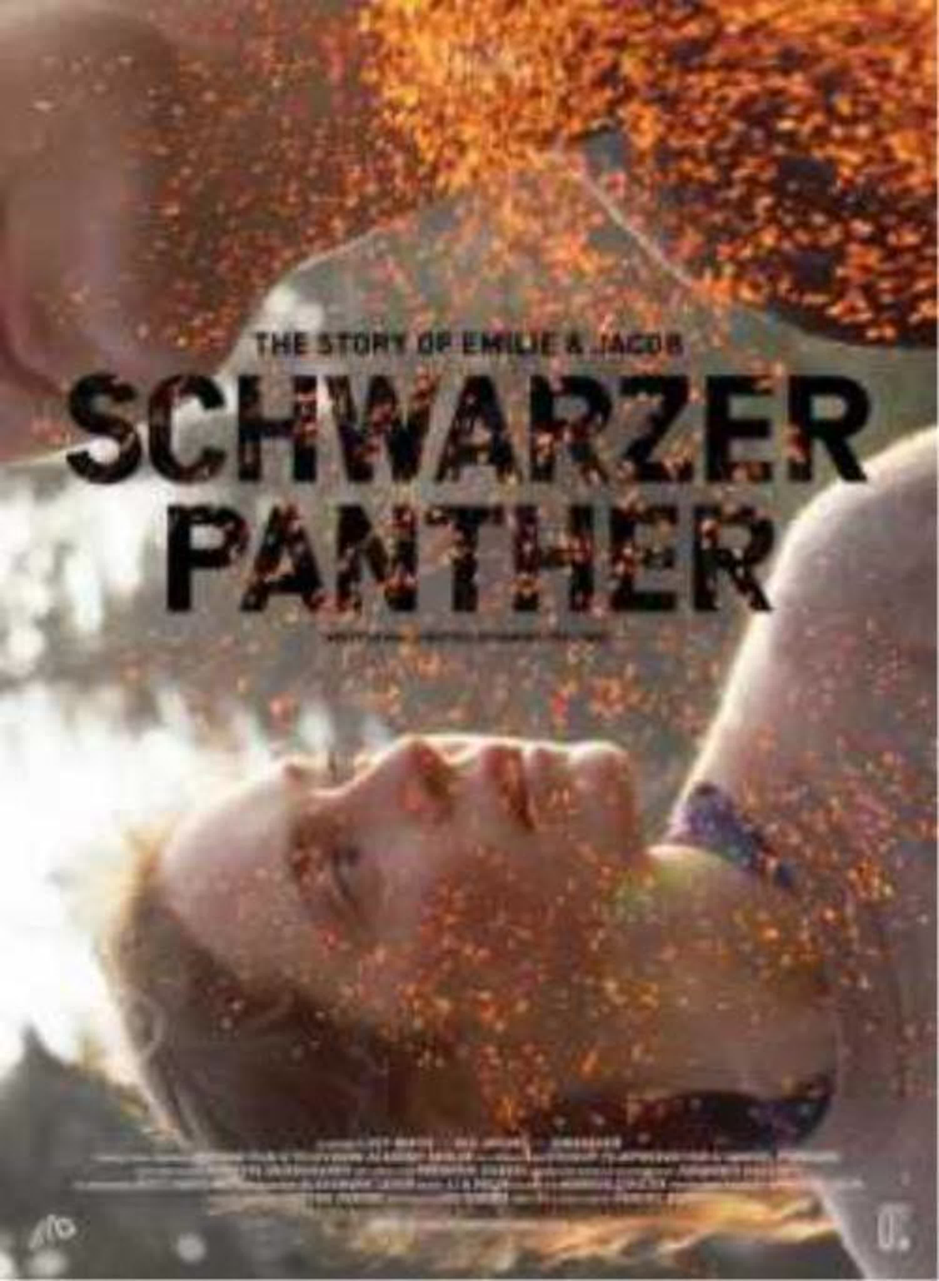 Черная пантера schwarzer panther (2014) германия watch online
