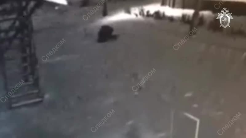 Маньяка porn video – В красноярском края 18 летней каратистке удалось отбиться от маньяка, который пытался ее молодые