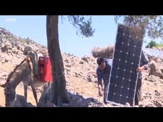 Осел на солнечных батареях (группа огого видео)