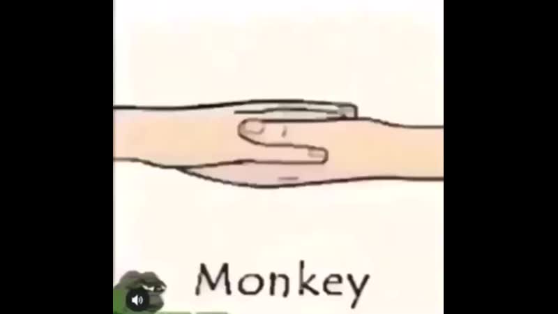 Тысячелетия боли