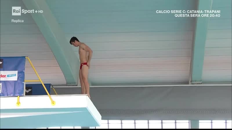 Vladimir barbu bulge (11)