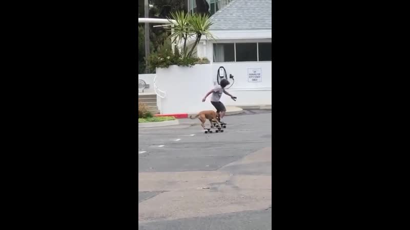 Покатухи с лучшим другом)))