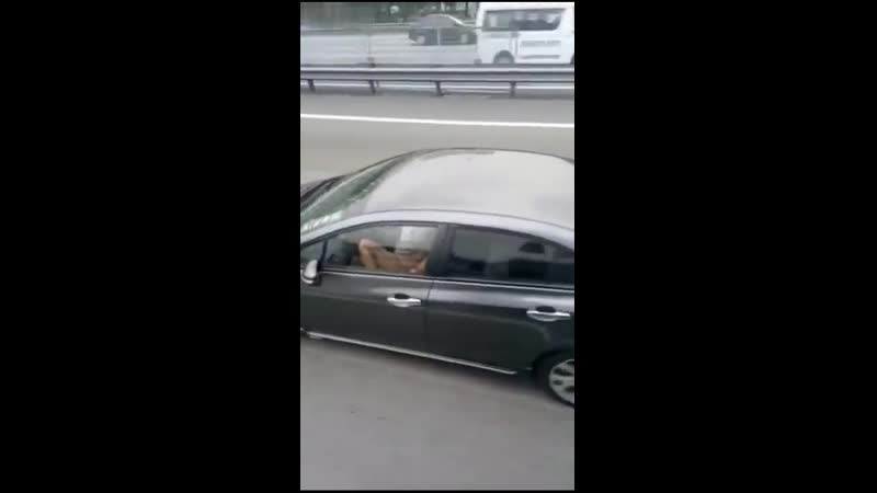 Женщина развлекалась на автопилоте в