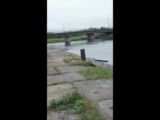 Shark caught in krasnogorsk