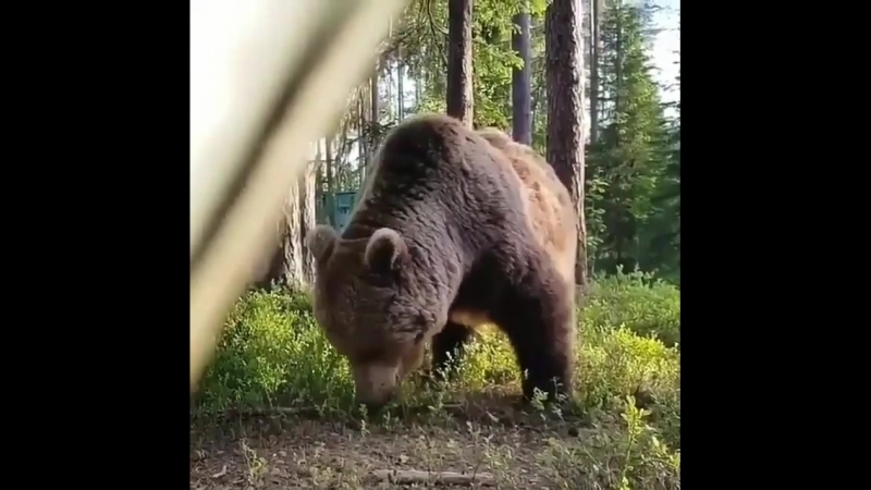 Просыпайтесь вовремя