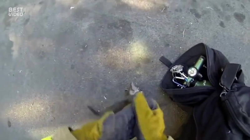 Каждая спасенная жизнь бесценна!