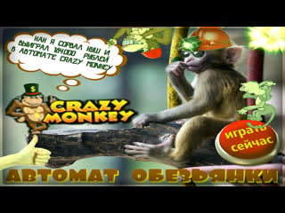 Сорвал куш рублей в автомате обезьянка [crazy monkey] бонуснки игрового слота крейзи манки