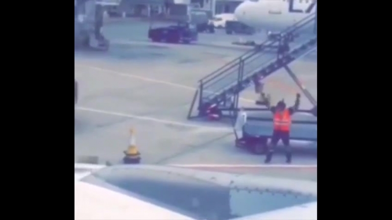 Умеет провести время перед прибытием самолётов