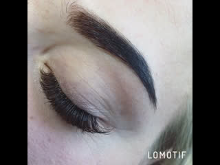 2d лисичка коричневые