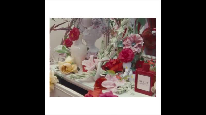 Fiori porn video – #guccibloom ambrosia di fiori
