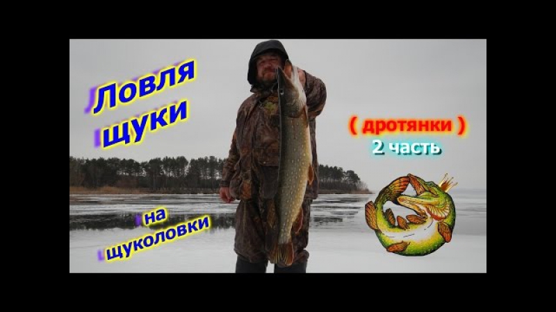 Ловля щуки на щуколои ( дротянки ) 2 часть