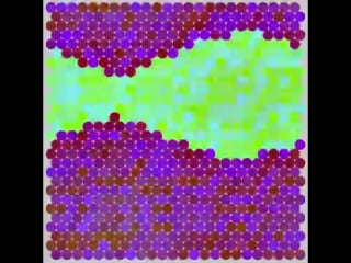 Entropy ★ cellular automata