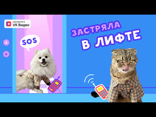 Касси и брюс вырасти любой ценой серия 3