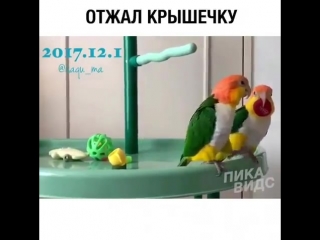 Отжал пробочку