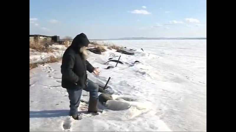 Вы кто такие я вас не звал!идите на хуй mp4