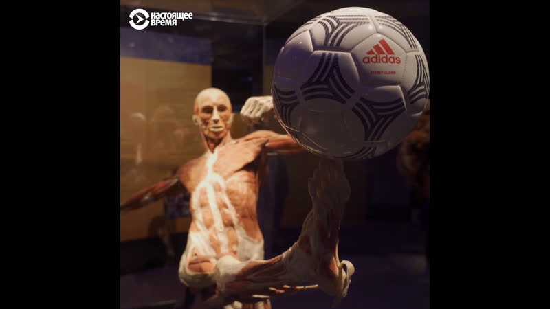 Почему "коммунисты россии" и рпц против выстаи "мир тела" на вднх