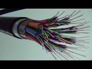 Synthetic biology assault on humanity elana freeland