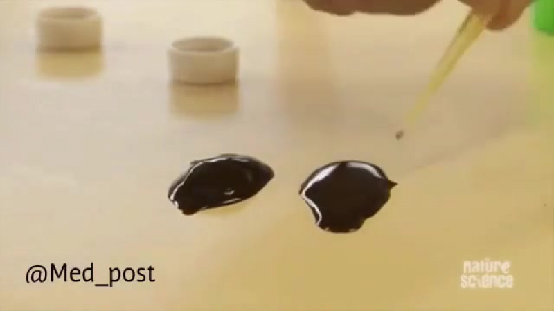 Справа молодые в обычном состоянии, слева после укуса ядовитой змеи