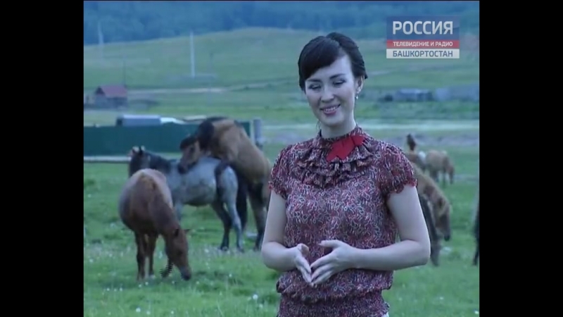 В башкирии лошади занялись сексом прямо во время телесъемок