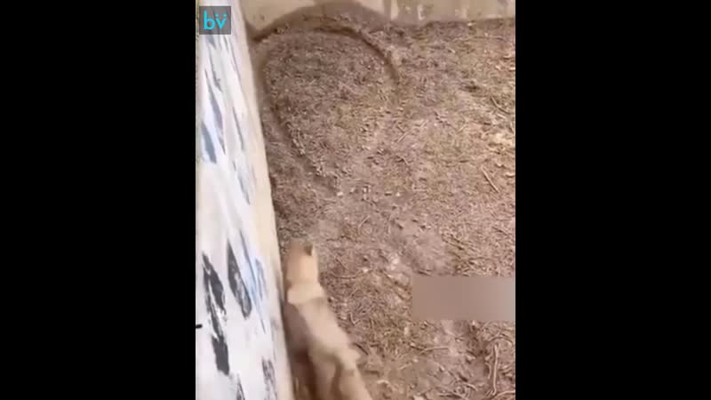 Когда ждёшь, пока девушка соберётся