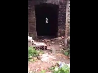 Спалили парочку в селе