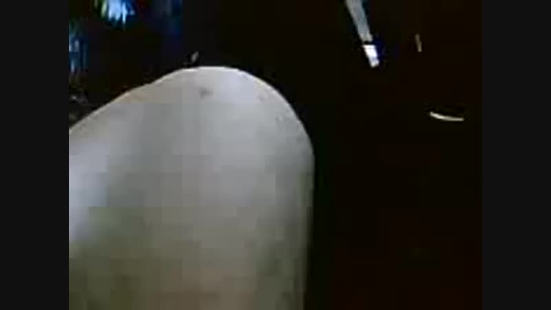 Гордая ингушка хава (240p) mp4