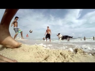 Gopro uhd dog plays ball with brazilian footballer gabigol