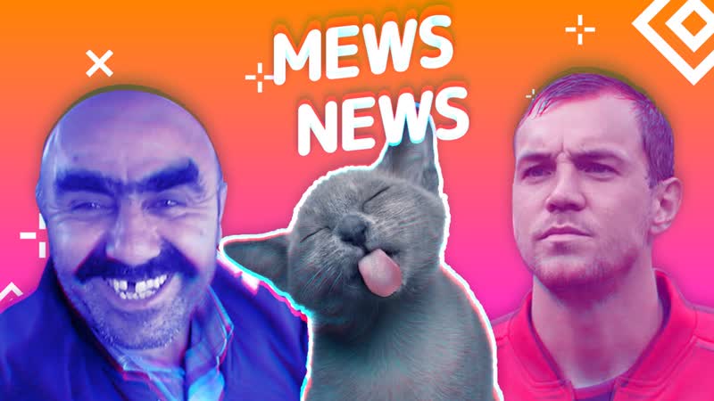 Mews news кот запугал медведя