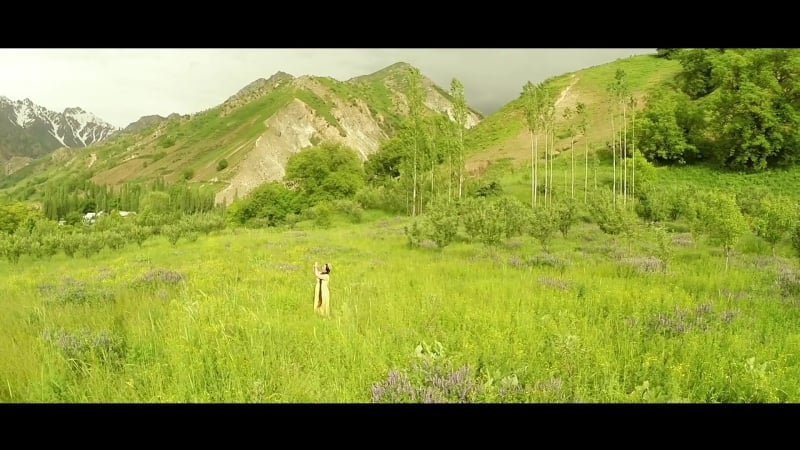 Фируза хафизова дутори 2015 | firuza hafizova dutori 2015 (kuhiston com)