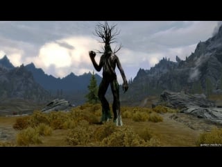 The elder scrolls v skyrim you! i wanna take you to a gay bar