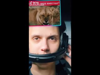 Tiktok – tima belorusskih