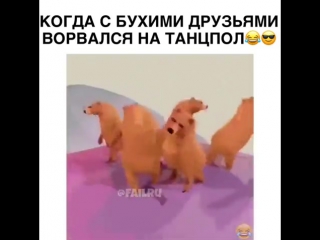 Когда с бухими друзьями пришёл на танцпол