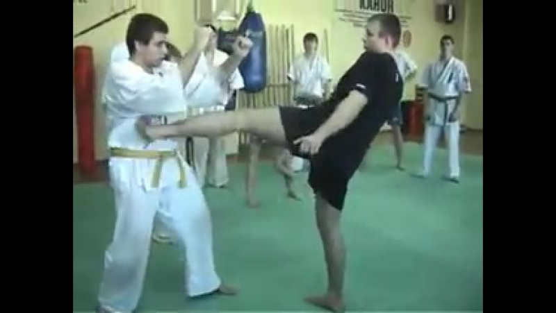 Семинар макса дедика по кумите в киокушинкай каратэ