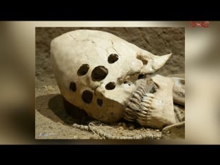 Череп инопланетянина, кукуруза и древний бетон александр соколов мифы об эволюции человека