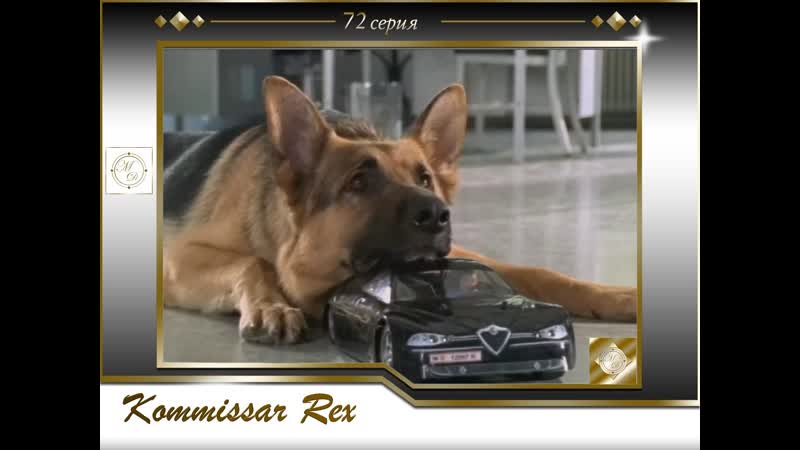 Komissar rex 6x06 brudermord/ комиссар рекс 72 серия братоубийство