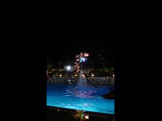 Flyboard show